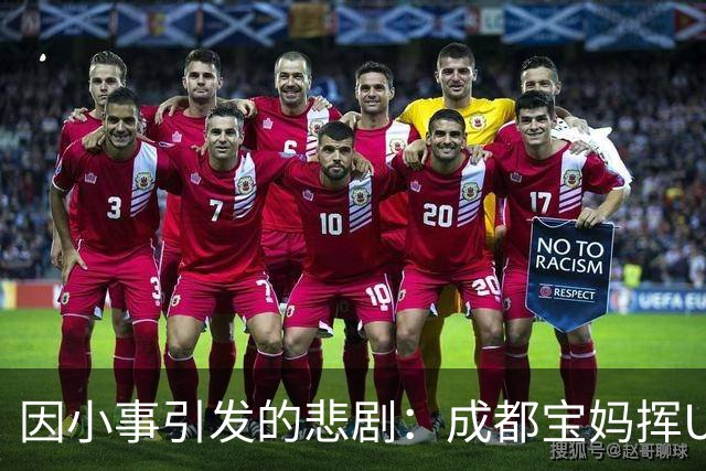 因小事引发的悲剧：成都宝妈挥U型锁后的残酷后果